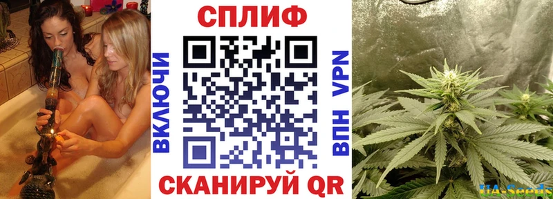 Как найти наркотики Новосокольники Канабис  Альфа ПВП  Гашиш  Меф 
