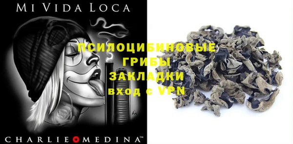 гашик Бородино