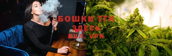 гашик Бородино