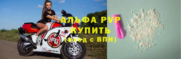гашик Бородино