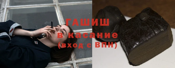 гашик Бородино