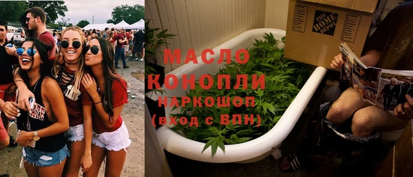 гашик Бородино