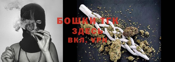 гашик Бородино