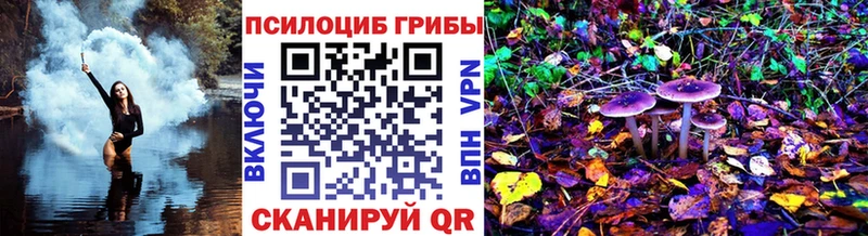Псилоцибиновые грибы Psilocybe  kraken зеркало  Новосокольники 