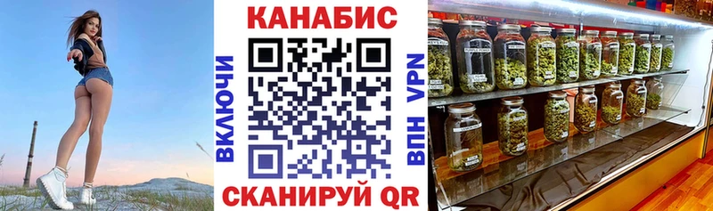 Канабис сатива Новосокольники